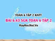Bài 6.43 SGK Toán 6 tập 2 Kết nối tri thức
